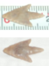 Rare petite pointe de flèche