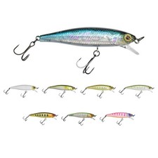 Illex tiny fry - illex, 65
