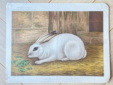Ancienne chromolithographie