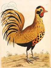 PLAQUE ALU DECO LITHO ALBIN