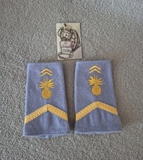 Paire de fourreaux d'épaule