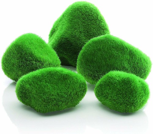 Oase biorb polished moss - moss, mossy