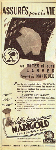 Publicité advertising 0824 - advertising,