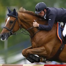 Bottes de protection de