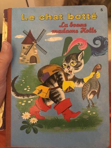 Chat botté la bonne - chat,