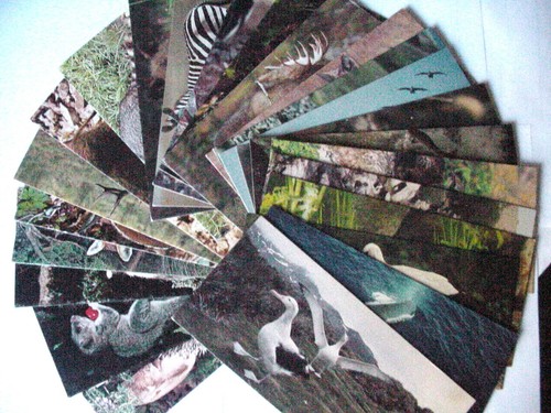 Cartes postales nestle - cartes,