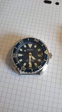 Seiko Mini Turtle Blue