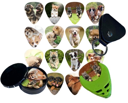 Pack puppies dogs 71mm - 14-pack,
