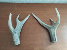 2 BOIS CERF 26/27CM COUTELLERIE CHIEN