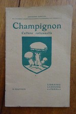 Champignon, culture