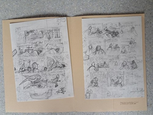 Portfolio tintin rombaldi - portfolio,