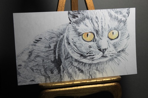 Original pen drawing - pen,