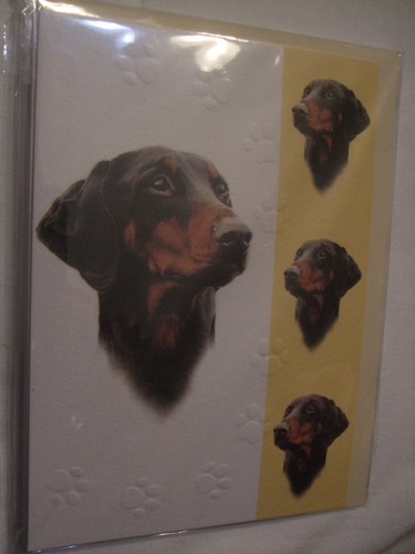 Carte enveloppe chien - carte, +