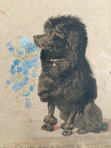 Aquarelle xixe belle - xixe,