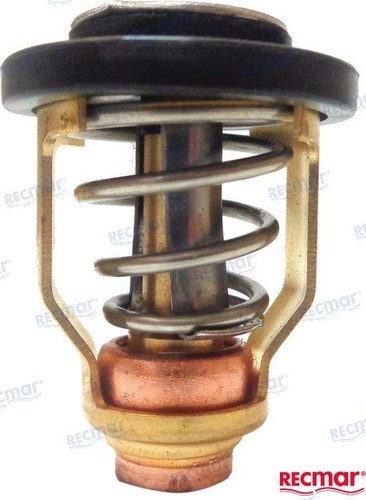 Thermostat pour yamaha - thermostat,