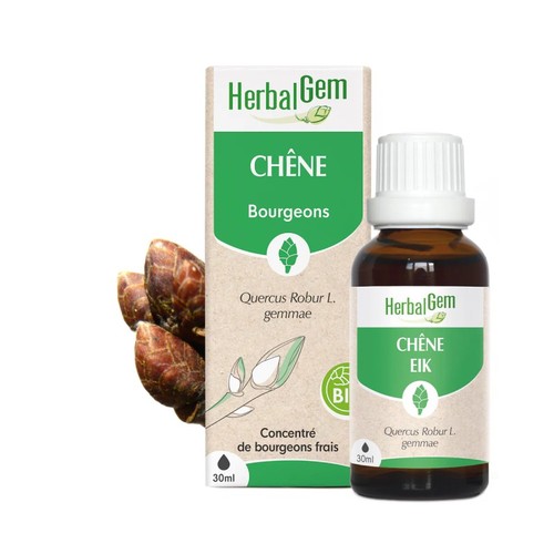 Bourgeon chêne bio - de,