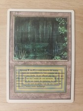 MTG dual land 3eme edition bord blanc  BAYOU  foreigner WB  EX/NMINT