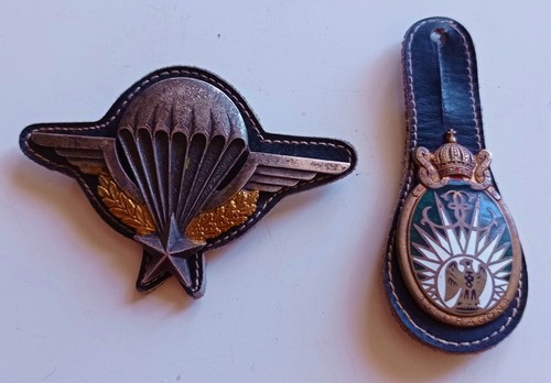 Lot insignes parachutistes 13e - lot,