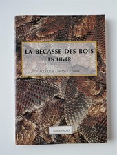 La bécasse des bois en hiver