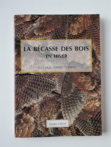 Bécasse des bois hiver - des,