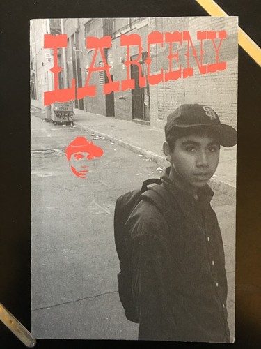 Barry mcgee larceny zine book - barry,