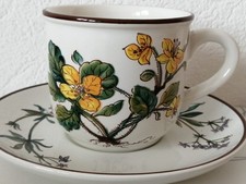 RARE Villeroy & Boch Manufacture Royale et Impériale BOTANICA  Tasse+ soucoupe