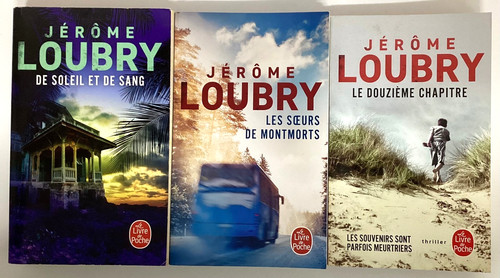 Romans jerome loubry livre - romans,