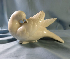 Superbe oiseau grande - oiseau,