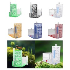 Nid de fourmis, humidité