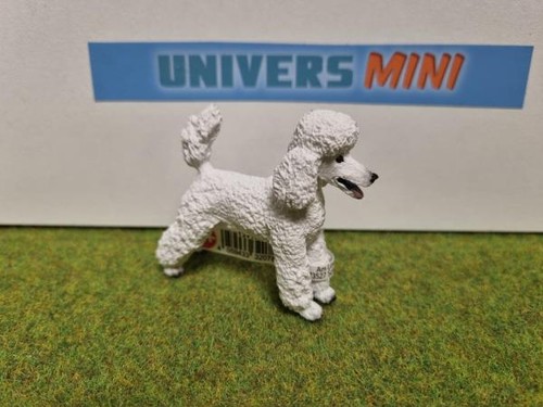 13917 chien caniche - caniche,