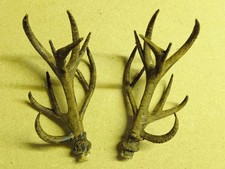 Cornes De Cerf Horloge Coucou