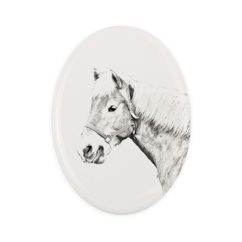 Haflinger fohlen dalle - haflinger,