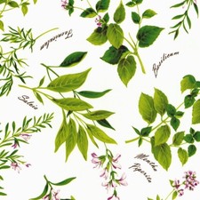 Nappe En Toile Cirée Herbs