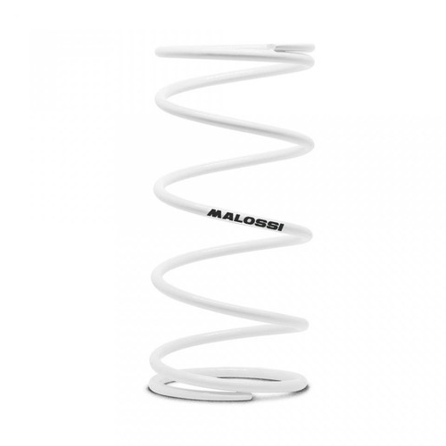 Ressort embrayage malossi - ressort,