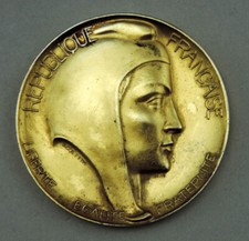 MEDAILLE VILLE DE MONTRICHARD