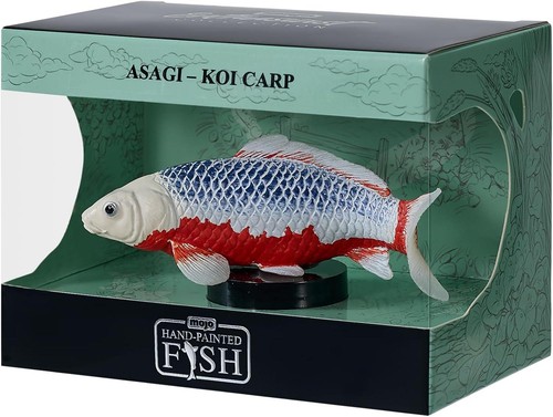Asagi koi carpe passionné - koi,