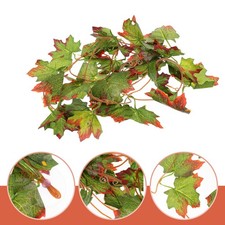 Décoration Terrarium