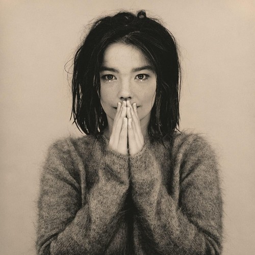 Bjork debut cd - (1993), /