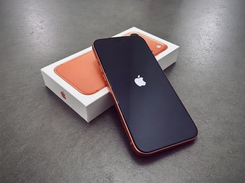 Iphone pro max 256go - pro,