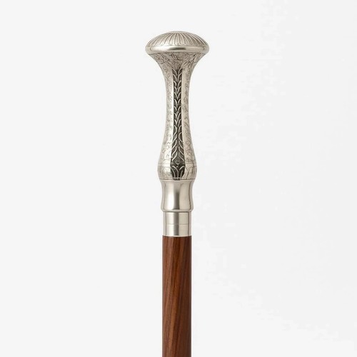 Canne marche bois - canne, en