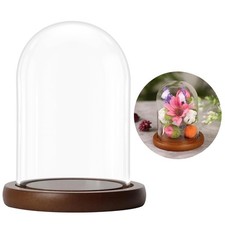 Belle Vous Cloche en Verre avec Socle Marron en Bois - 9,4 cm de Haut - Mini