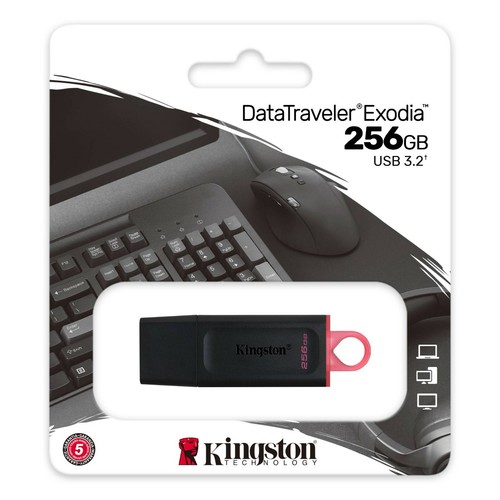 Clé usb kingston 256 - clé,