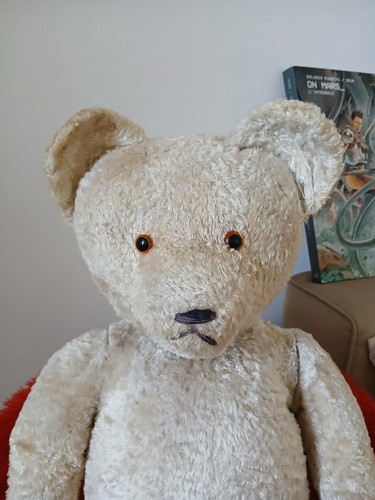Rare ours polaire - rare, ancien