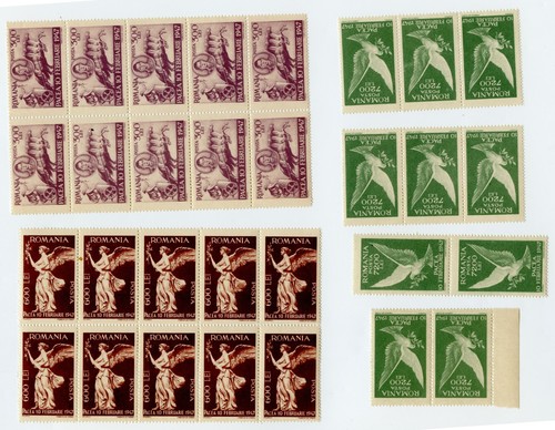 Romania roumanie lot - romania,