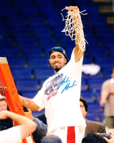 Saleem stoudamire arizona - saleem,