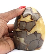 Pierre de Septaria 530gr 95mm