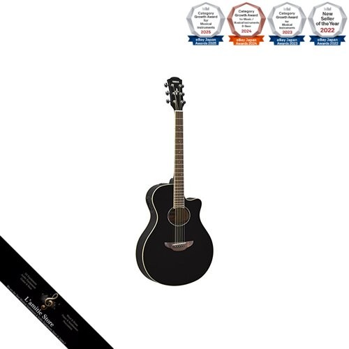 Guitare acoustique électrique - guitare, acoustique-électrique