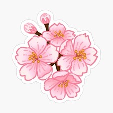 Sticker Sakura 9x9 cm fleurs de cerisier autocollant voiture ordinateur...