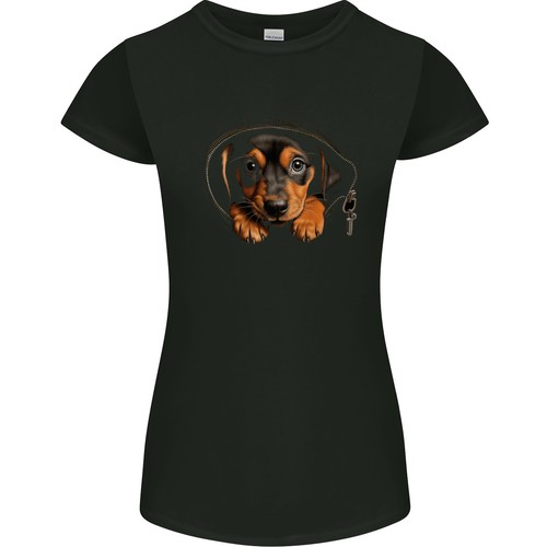 Chiot teckel dans un - un,
