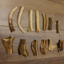 13 X Morceaux De Bois De Cerf
